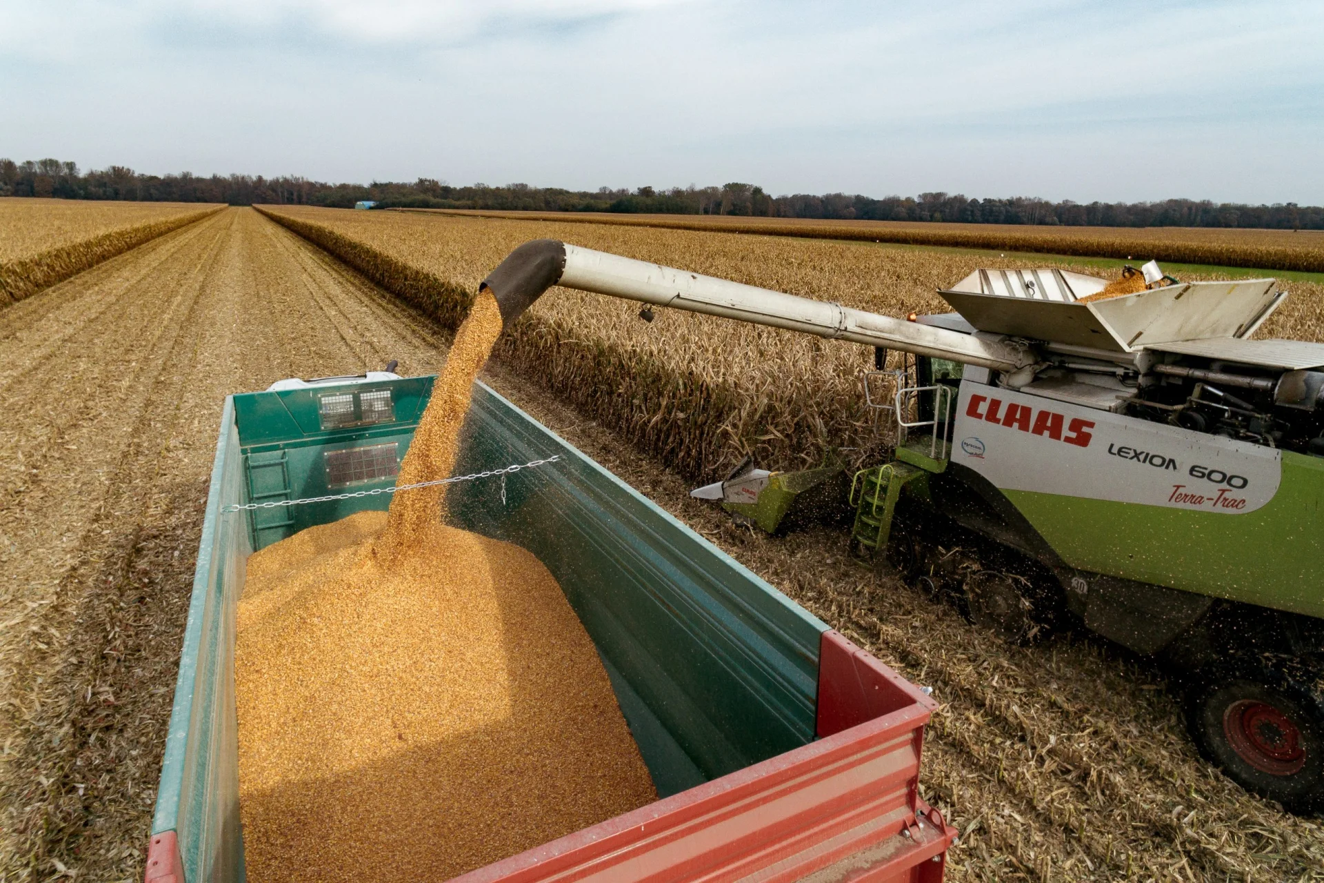 Dumper návesy DURUS (Farmtech)